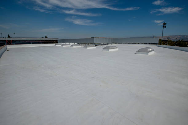 Best Roof Maintenance and Cleaning  in Geneva, IN